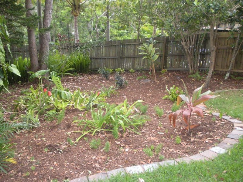 5 Lunar Cr, Noosa Heads QLD 4567