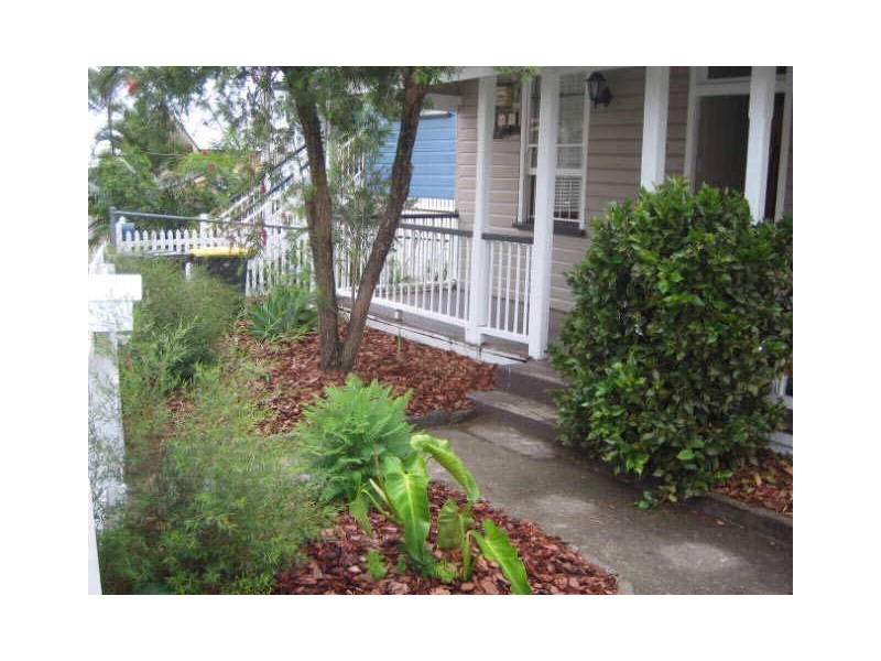 31 Collingwood Street, Paddington QLD 4064