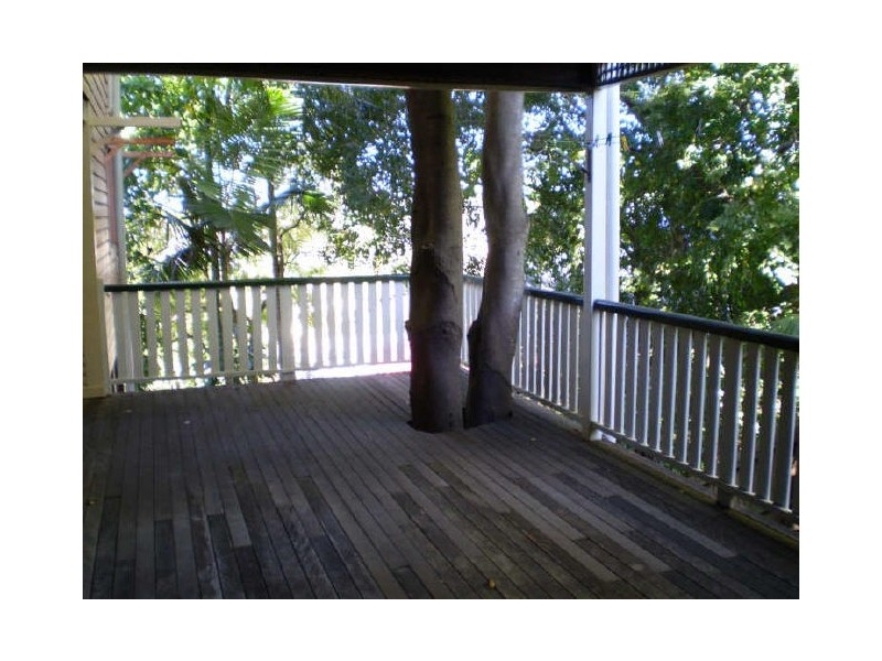 146 Latrobe Terrace, Paddington QLD 4064