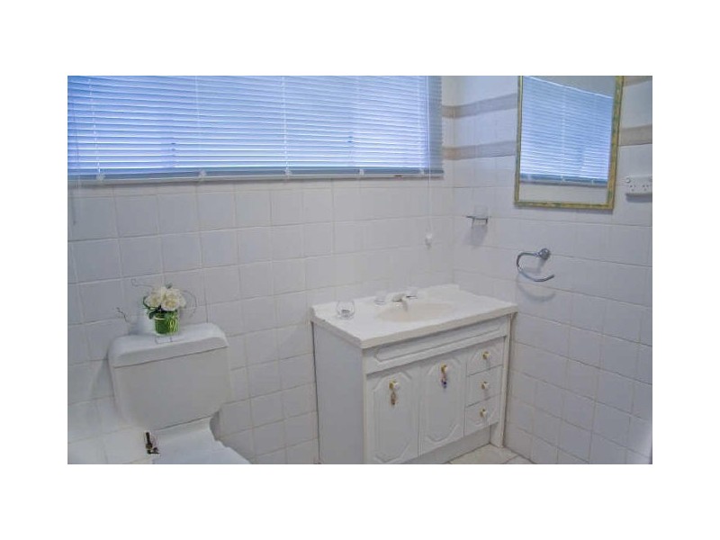 49 Buckingham Street, Ashgrove QLD 4060