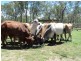 Silver Valley QLD 4872
