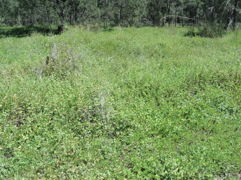 Silver Valley QLD 4872
