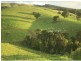 Millaa Millaa QLD 4886
