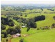 Millaa Millaa QLD 4886