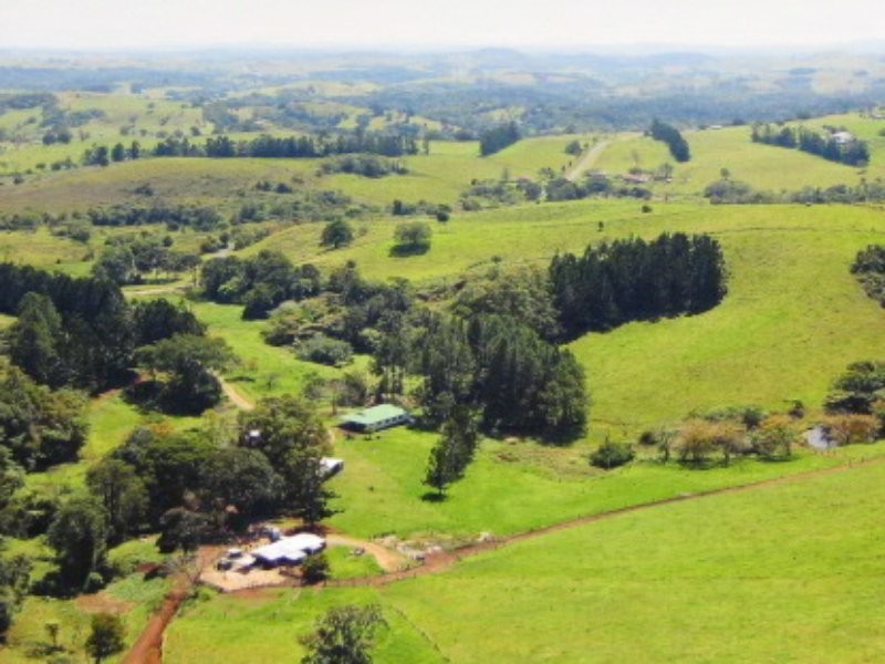 Millaa Millaa QLD 4886