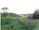 Millaa Millaa QLD 4886