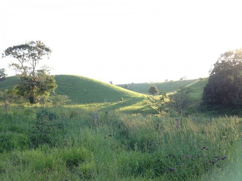 Millaa Millaa QLD 4886