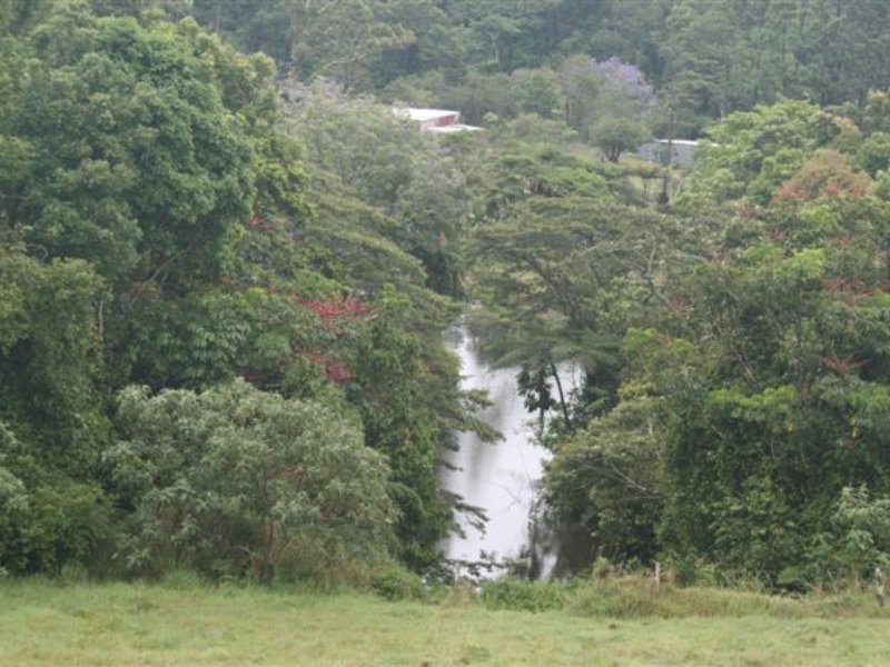 Millaa Millaa QLD 4886
