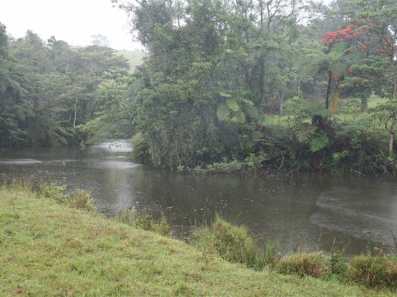 Millaa Millaa QLD 4886