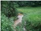 Millaa Millaa QLD 4886