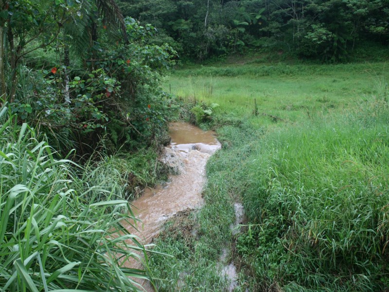 Millaa Millaa QLD 4886
