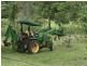 Millaa Millaa QLD 4886
