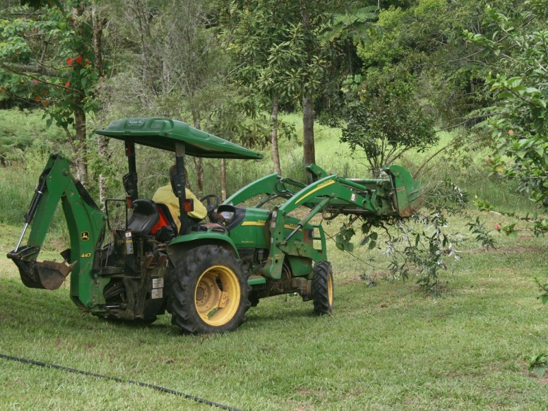 Millaa Millaa QLD 4886