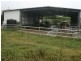 Millaa Millaa QLD 4886