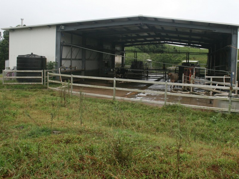 Millaa Millaa QLD 4886