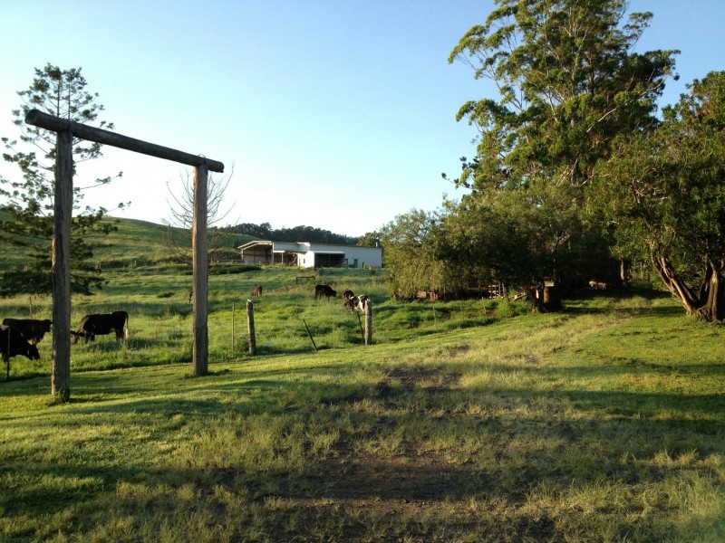 Millaa Millaa QLD 4886