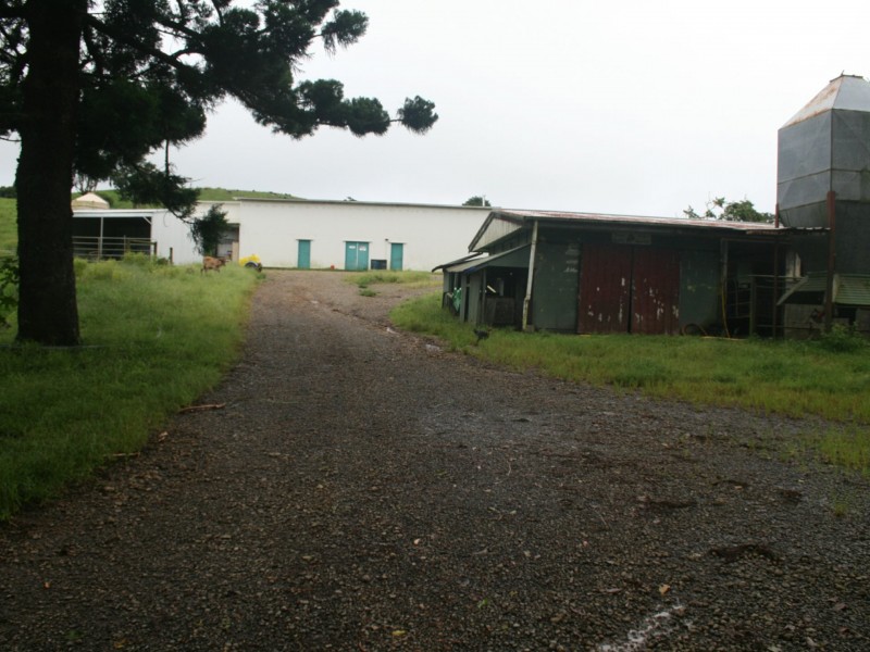 Millaa Millaa QLD 4886