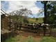 Millaa Millaa QLD 4886