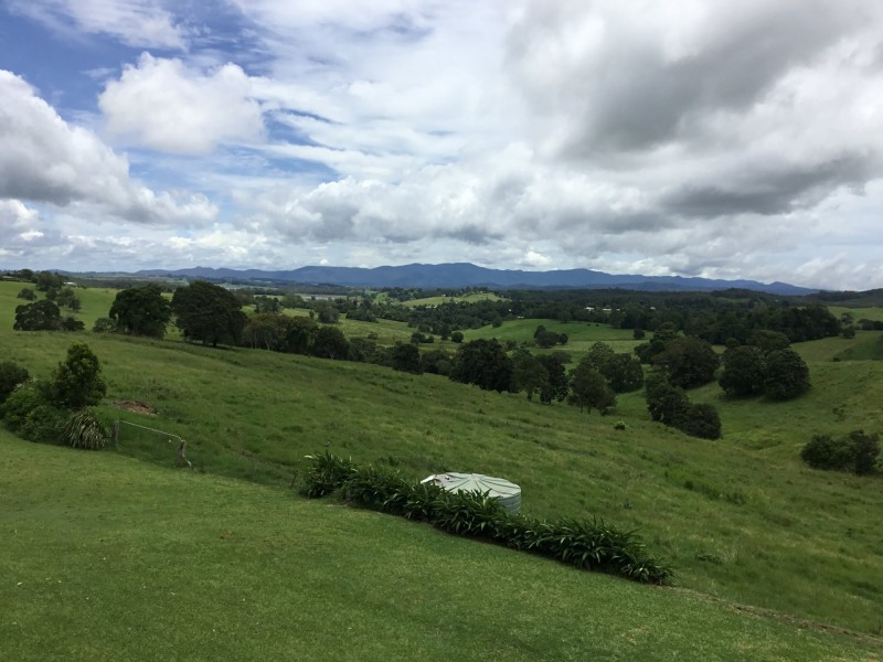 Yungaburra QLD 4884