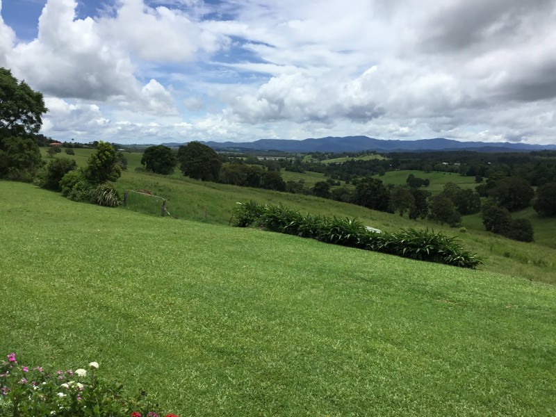 Yungaburra QLD 4884