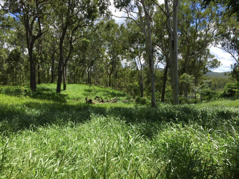 Wondecla QLD 4887