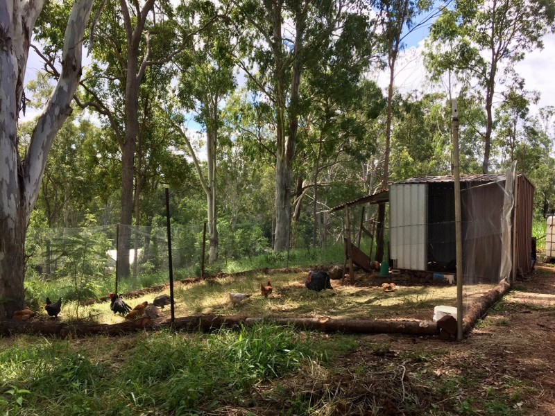 Wondecla QLD 4887