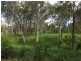 Wondecla QLD 4887