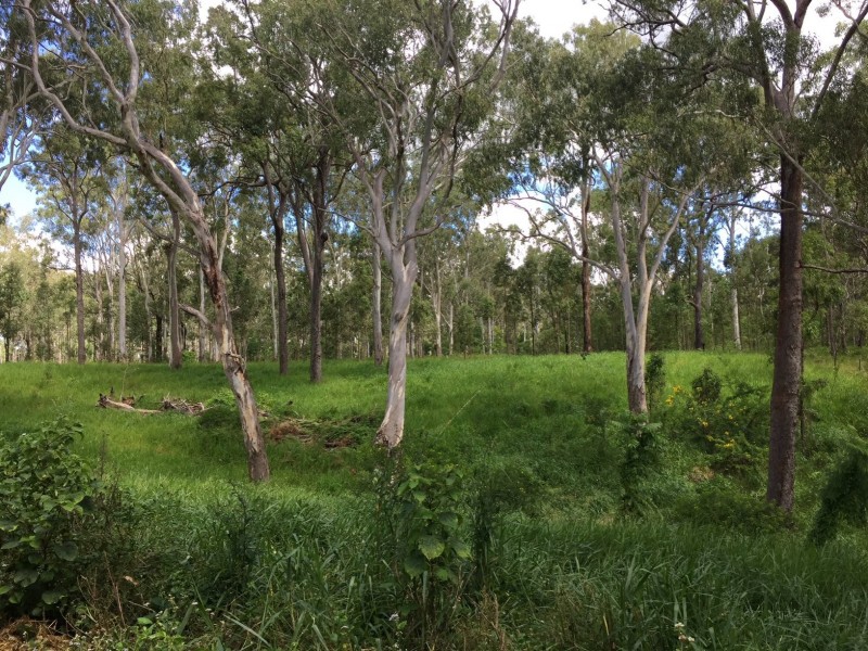 Wondecla QLD 4887
