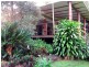 Yungaburra QLD 4884