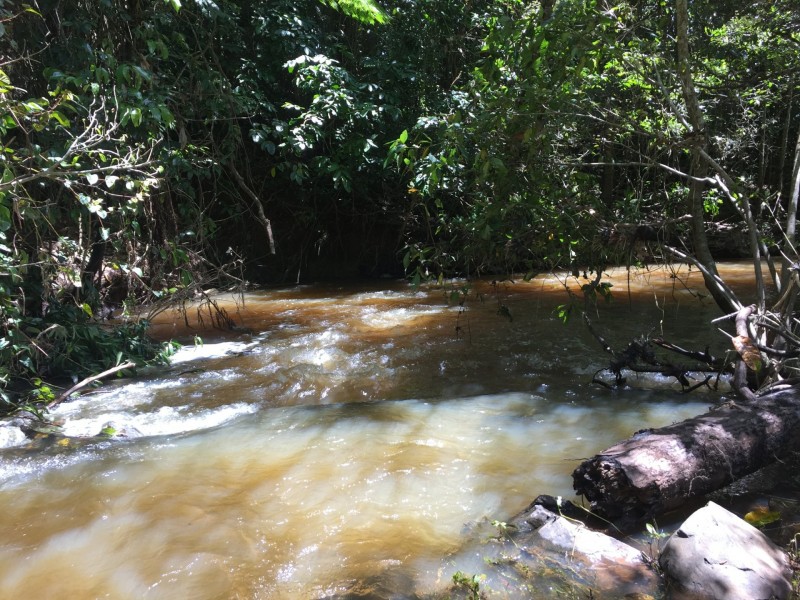 Yungaburra QLD 4884