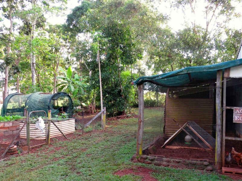 Yungaburra QLD 4884