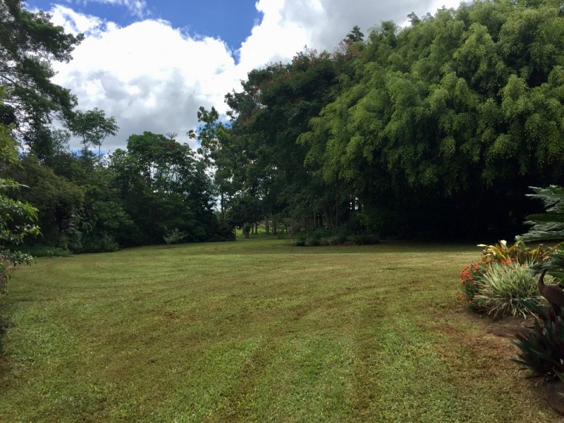 Yungaburra QLD 4884