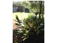 Yungaburra QLD 4884
