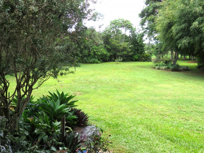 Yungaburra QLD 4884