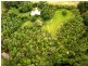 Yungaburra QLD 4884