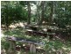 Yungaburra QLD 4884