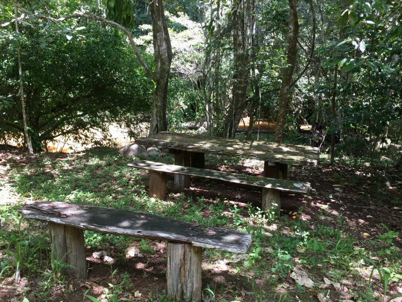 Yungaburra QLD 4884