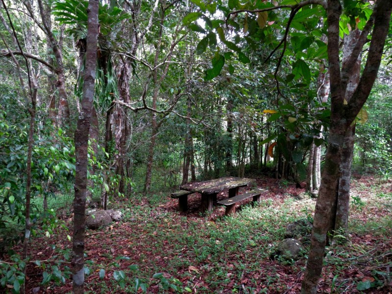 Yungaburra QLD 4884
