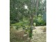 Wondecla QLD 4887