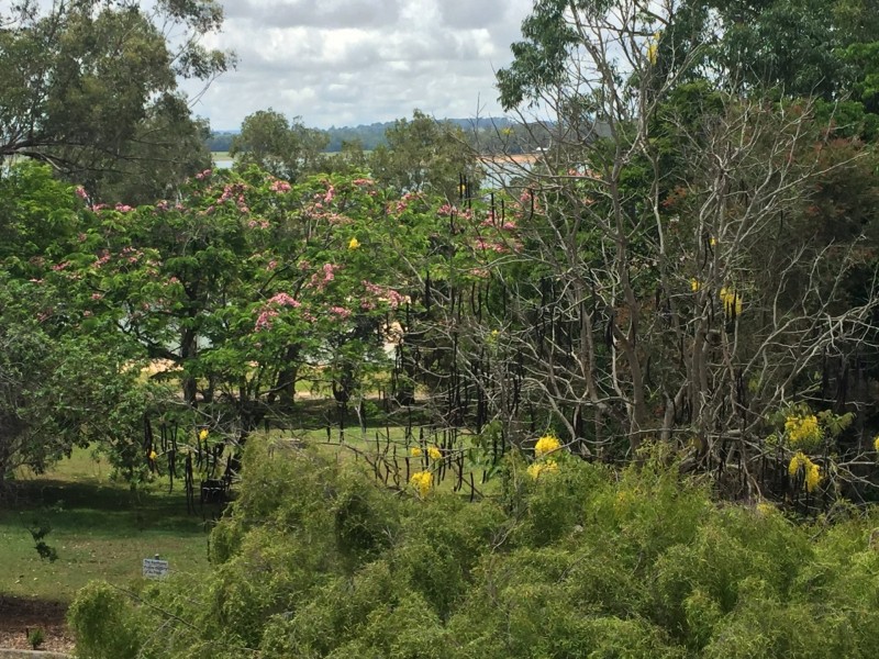 Unit 26/29 Palm Street, Tinaroo QLD 4872