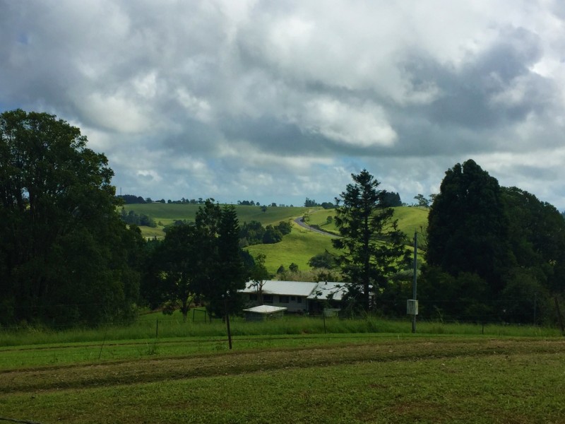 Tarzali QLD 4885
