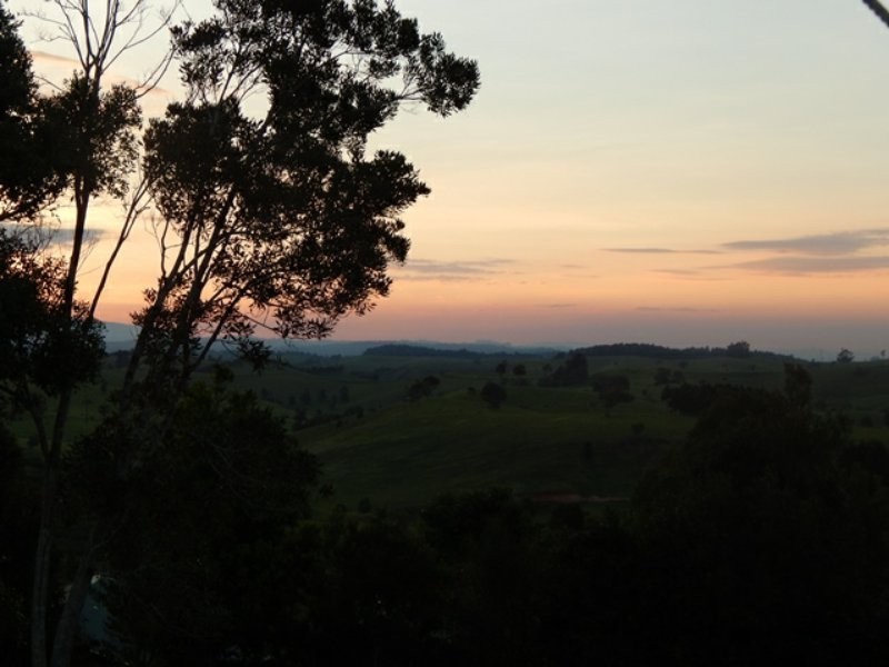 Tarzali QLD 4885