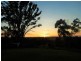 Tarzali QLD 4885