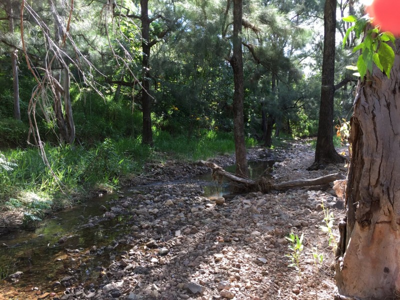 Irvinebank QLD 4887
