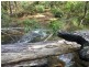 Wondecla QLD 4887