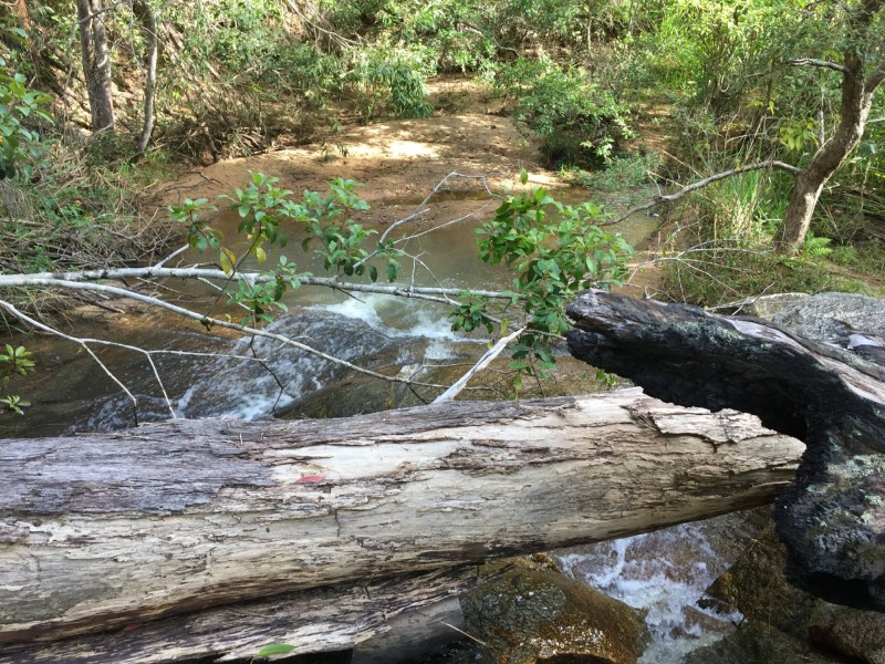 Wondecla QLD 4887