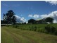 Yungaburra QLD 4884