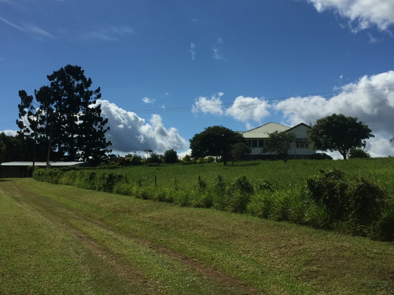 Yungaburra QLD 4884