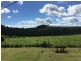 Yungaburra QLD 4884