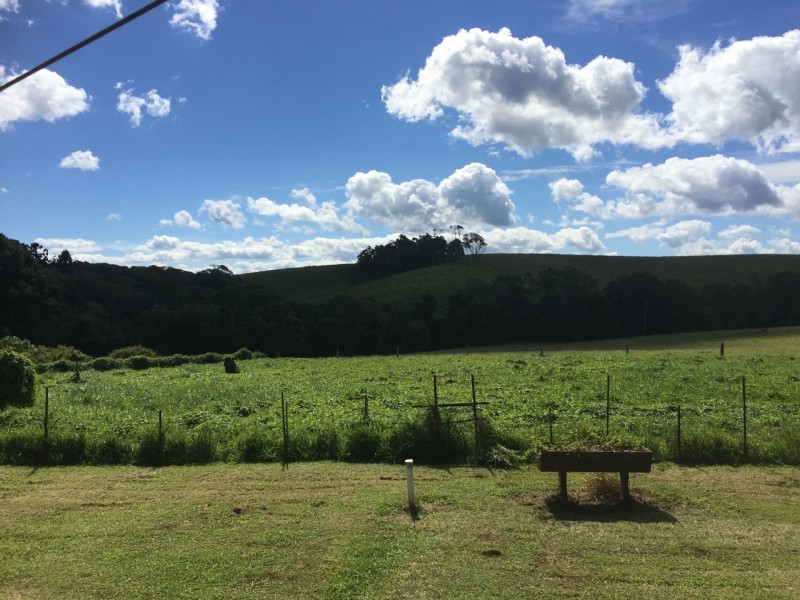 Yungaburra QLD 4884